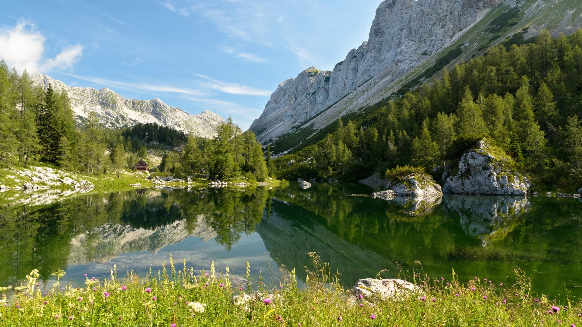 Alpine Lake Summer anime wallpaper