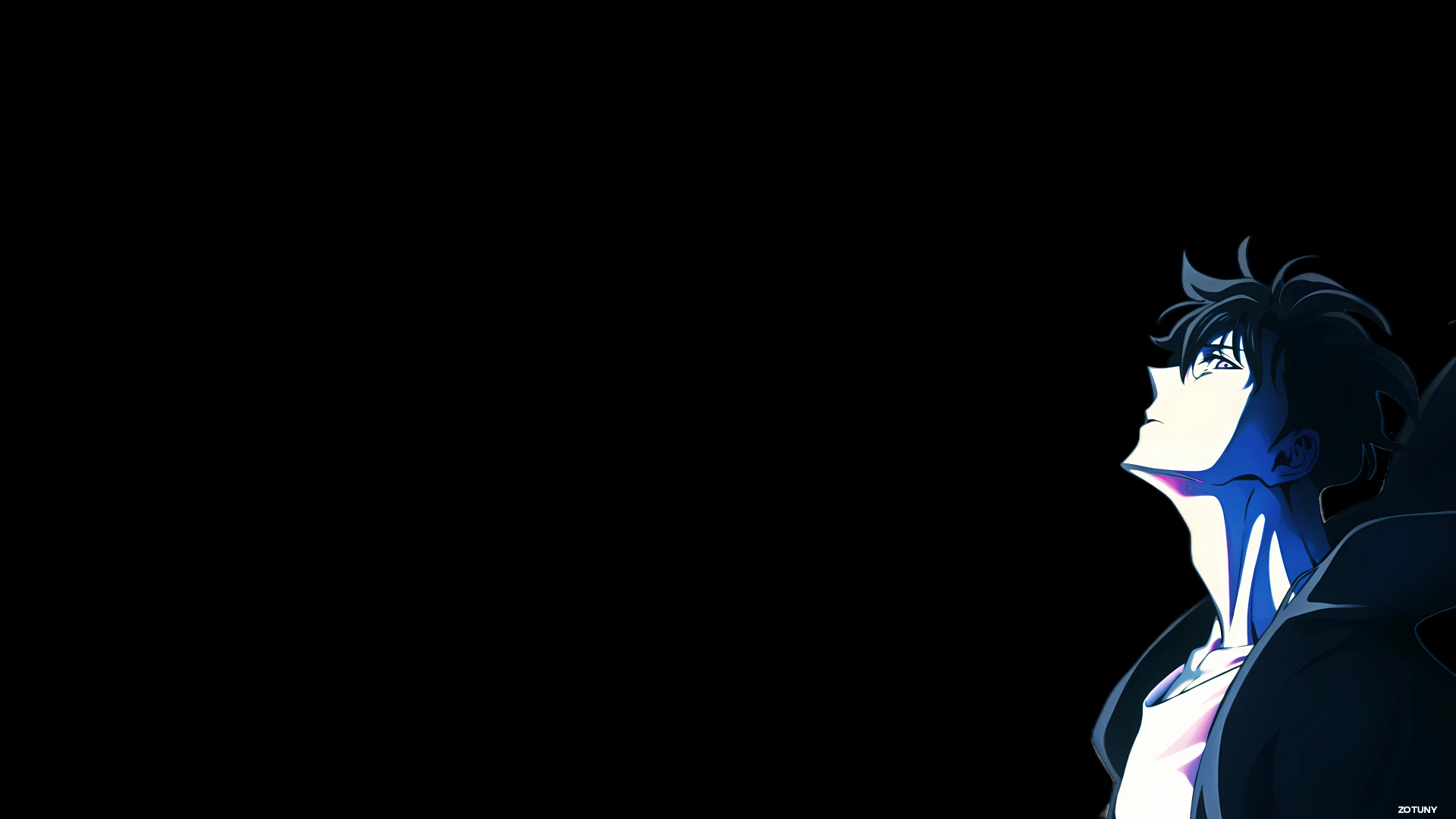 Sung Jinwoo — Beyond the Shadows anime wallpaper