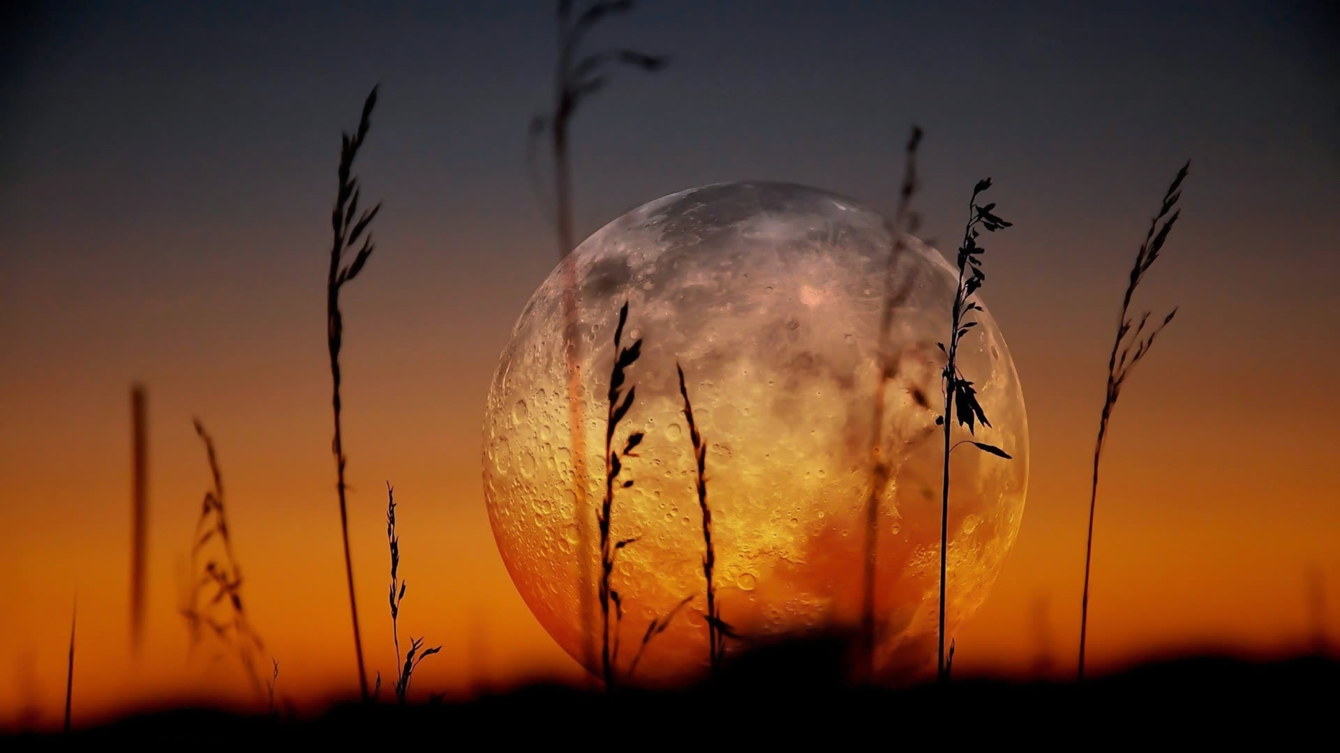 Full Moon at Sunset