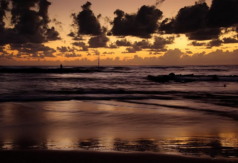 Golden Shore Sunset